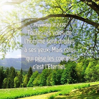 Picture 04 - Proverbes 21:2 LSG - Toutes les voies de l'homme sont droites à ses - Bible Verse Picture