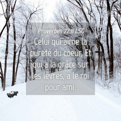 Picture 04 - Proverbes 22:11 LSG - Celui qui aime la pureté du coeur, Et qui a la - Bible Verse Picture