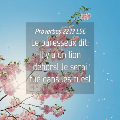 Picture 04 - Proverbes 22:13 LSG - Le paresseux dit: Il y a un lion dehors! Je serai - Bible Verse Picture