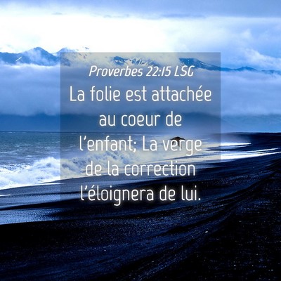 Picture 04 - Proverbes 22:15 LSG - La folie est attachée au coeur de l'enfant; La - Bible Verse Picture