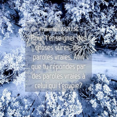 Picture 04 - Proverbes 22:21 LSG - Pour t'enseigner des choses sûres, des paroles - Bible Verse Picture