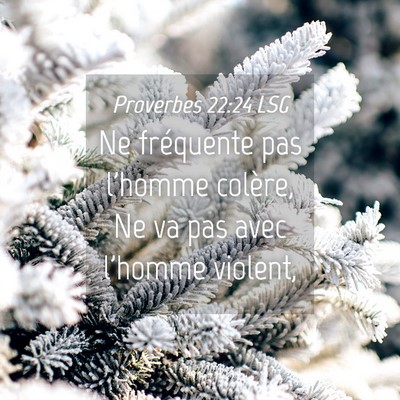 Picture 04 - Proverbes 22:24 LSG - Ne fréquente pas l'homme colère, Ne va pas avec - Bible Verse Picture