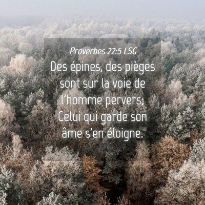 Picture 04 - Proverbes 22:5 LSG - Des épines, des pièges sont sur la voie de - Bible Verse Picture