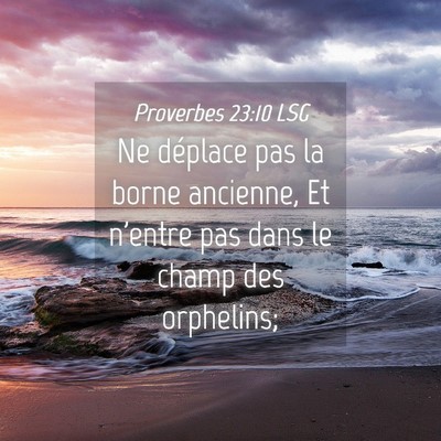 Picture 04 - Proverbes 23:10 LSG - Ne déplace pas la borne ancienne, Et n'entre pas - Bible Verse Picture