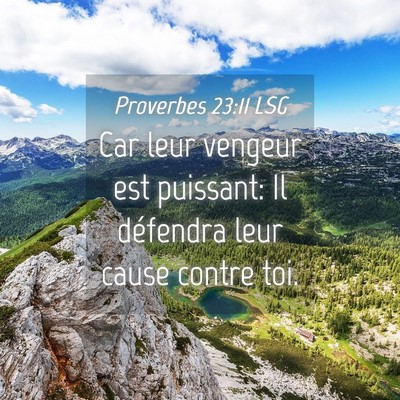 Picture 04 - Proverbes 23:11 LSG - Car leur vengeur est puissant: Il défendra leur - Bible Verse Picture