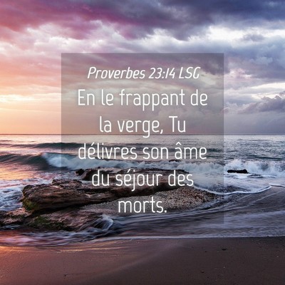 Picture 04 - Proverbes 23:14 LSG - En le frappant de la verge, Tu délivres son âme - Bible Verse Picture