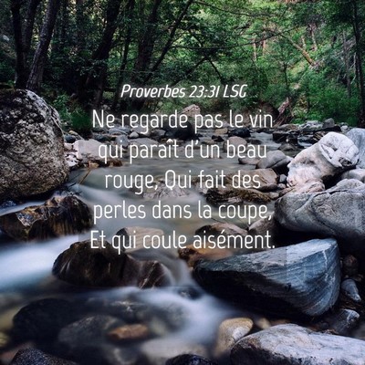 Picture 04 - Proverbes 23:31 LSG - Ne regarde pas le vin qui paraît d'un beau - Bible Verse Picture