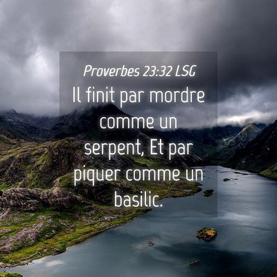 Picture 04 - Proverbes 23:32 LSG - Il finit par mordre comme un serpent, Et par - Bible Verse Picture