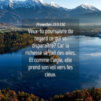 Picture 04 - Proverbes 23:5 LSG - Veux-tu poursuivre du regard ce qui va - Bible Verse Picture