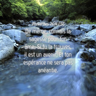 Picture 04 - Proverbes 24:14 LSG - De même, connais la sagesse pour ton âme; Si tu - Bible Verse Picture