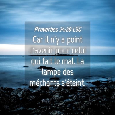 Picture 04 - Proverbes 24:20 LSG - Car il n'y a point d'avenir pour celui qui fait - Bible Verse Picture