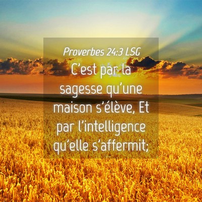 Picture 04 - Proverbes 24:3 LSG - C'est par la sagesse qu'une maison s'élève, Et - Bible Verse Picture