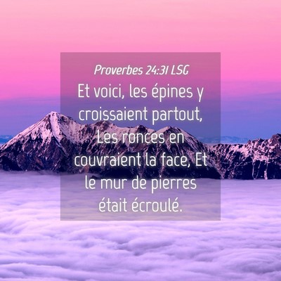 Picture 04 - Proverbes 24:31 LSG - Et voici, les épines y croissaient partout, Les - Bible Verse Picture