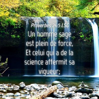 Picture 04 - Proverbes 24:5 LSG - Un homme sage est plein de force, Et celui qui a - Bible Verse Picture