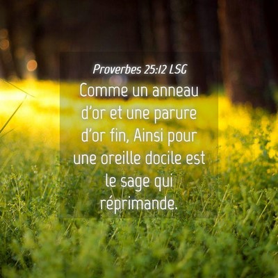 Picture 04 - Proverbes 25:12 LSG - Comme un anneau d'or et une parure d'or fin, - Bible Verse Picture