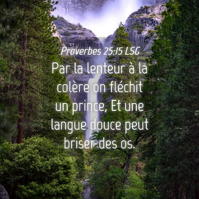 Picture 04 - Proverbes 25:15 LSG - Par la lenteur à la colère on fléchit un - Bible Verse Picture