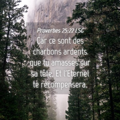 Picture 04 - Proverbes 25:22 LSG - Car ce sont des charbons ardents que tu amasses - Bible Verse Picture