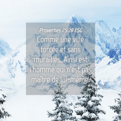 Picture 04 - Proverbes 25:28 LSG - Comme une ville forcée et sans murailles, Ainsi - Bible Verse Picture