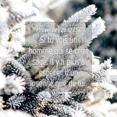 Picture 04 - Proverbes 26:12 LSG - Si tu vois un homme qui se croit sage, Il y a - Bible Verse Picture