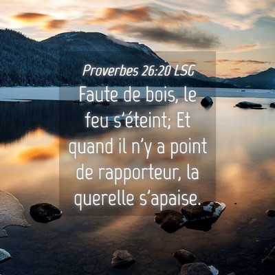 Picture 04 - Proverbes 26:20 LSG - Faute de bois, le feu s'éteint; Et quand il n'y - Bible Verse Picture