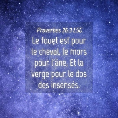 Picture 04 - Proverbes 26:3 LSG - Le fouet est pour le cheval, le mors pour l'âne, - Bible Verse Picture