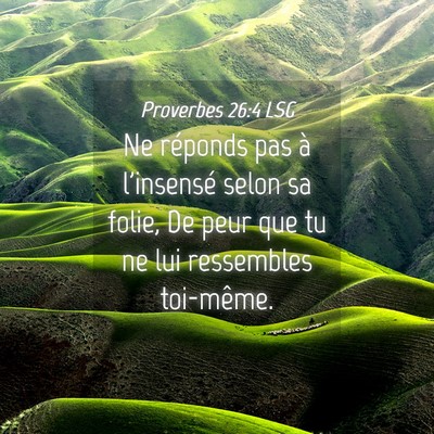 Picture 04 - Proverbes 26:4 LSG - Ne réponds pas à l'insensé selon sa folie, De - Bible Verse Picture