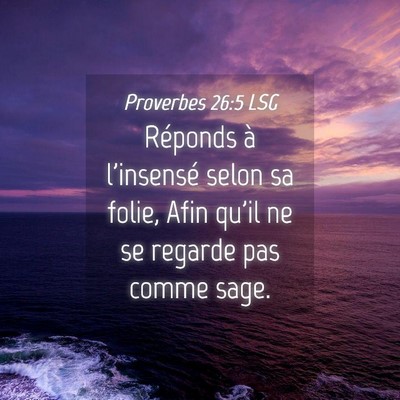 Picture 04 - Proverbes 26:5 LSG - Réponds à l'insensé selon sa folie, Afin qu'il - Bible Verse Picture