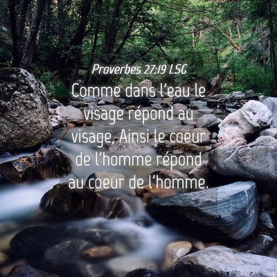 Picture 04 - Proverbes 27:19 LSG - Comme dans l'eau le visage répond au visage, - Bible Verse Picture