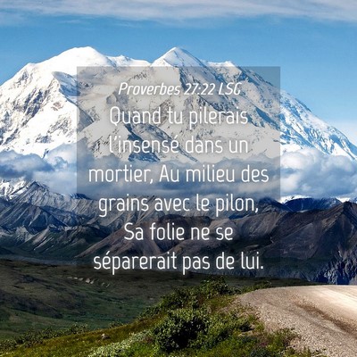 Picture 04 - Proverbes 27:22 LSG - Quand tu pilerais l'insensé dans un mortier, Au - Bible Verse Picture