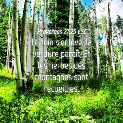 Picture 04 - Proverbes 27:25 LSG - Le foin s'enlève, la verdure paraît, Et les - Bible Verse Picture