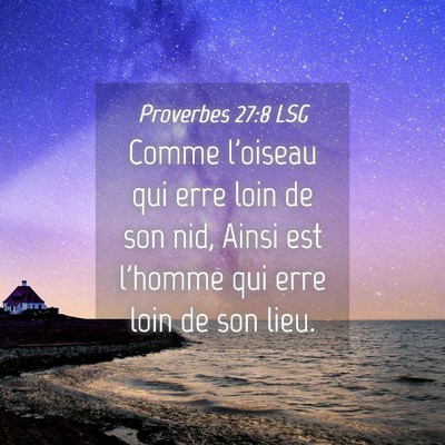 Picture 04 - Proverbes 27:8 LSG - Comme l'oiseau qui erre loin de son nid, Ainsi - Bible Verse Picture