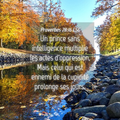 Picture 04 - Proverbes 28:16 LSG - Un prince sans intelligence multiplie les actes - Bible Verse Picture