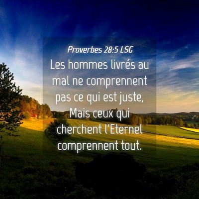 Picture 04 - Proverbes 28:5 LSG - Les hommes livrés au mal ne comprennent pas ce - Bible Verse Picture