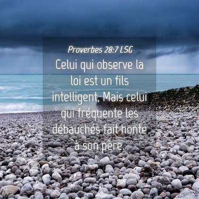 Picture 04 - Proverbes 28:7 LSG - Celui qui observe la loi est un fils intelligent, - Bible Verse Picture