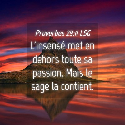 Picture 04 - Proverbes 29:11 LSG - L'insensé met en dehors toute sa passion, Mais - Bible Verse Picture