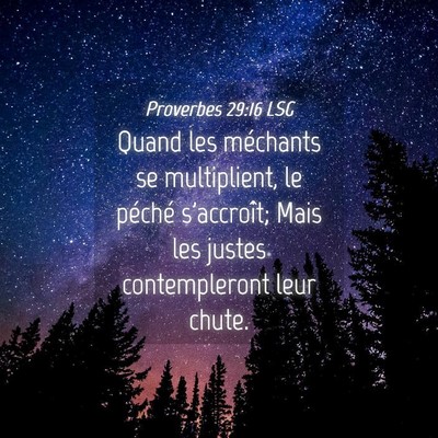 Picture 04 - Proverbes 29:16 LSG - Quand les méchants se multiplient, le péché - Bible Verse Picture