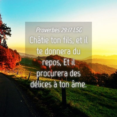 Picture 04 - Proverbes 29:17 LSG - Châtie ton fils, et il te donnera du repos, Et - Bible Verse Picture