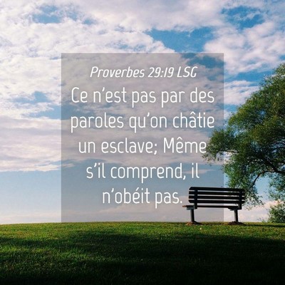 Picture 04 - Proverbes 29:19 LSG - Ce n'est pas par des paroles qu'on châtie un - Bible Verse Picture