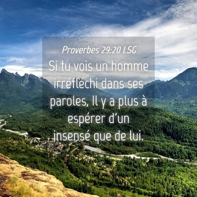 Picture 04 - Proverbes 29:20 LSG - Si tu vois un homme irréfléchi dans ses - Bible Verse Picture