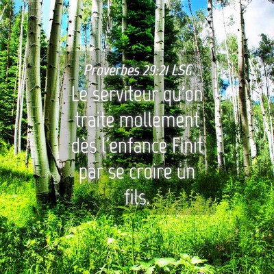 Picture 04 - Proverbes 29:21 LSG - Le serviteur qu'on traite mollement dès - Bible Verse Picture