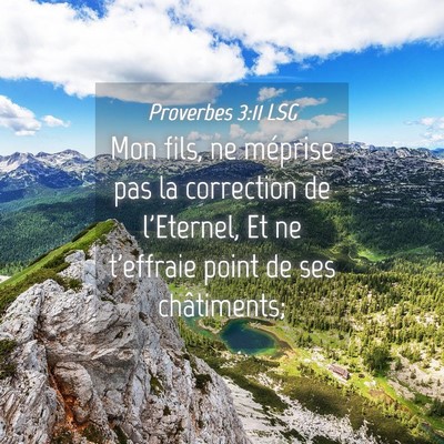 Picture 04 - Proverbes 3:11 LSG - Mon fils, ne méprise pas la correction de - Bible Verse Picture