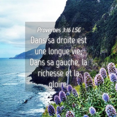 Picture 04 - Proverbes 3:16 LSG - Dans sa droite est une longue vie; Dans sa - Bible Verse Picture
