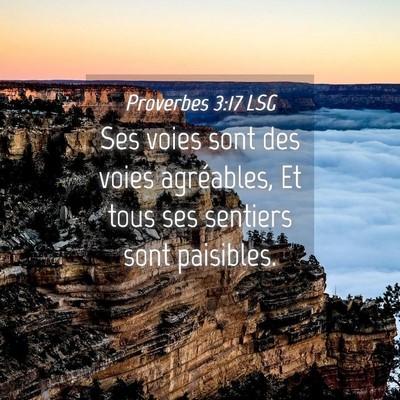 Picture 04 - Proverbes 3:17 LSG - Ses voies sont des voies agréables, Et tous ses - Bible Verse Picture
