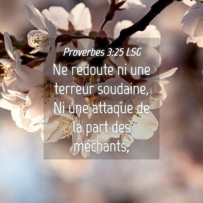 Picture 04 - Proverbes 3:25 LSG - Ne redoute ni une terreur soudaine, Ni une - Bible Verse Picture