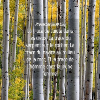 Picture 04 - Proverbes 30:19 LSG - La trace de l'aigle dans les cieux, La trace du - Bible Verse Picture
