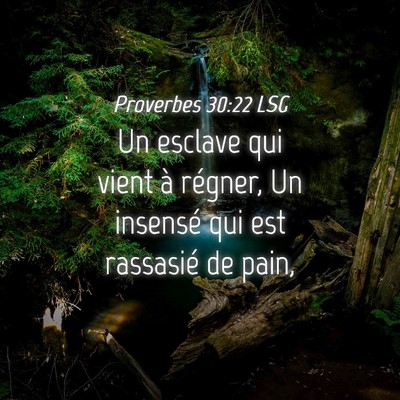 Picture 04 - Proverbes 30:22 LSG - Un esclave qui vient à régner, Un insensé qui - Bible Verse Picture