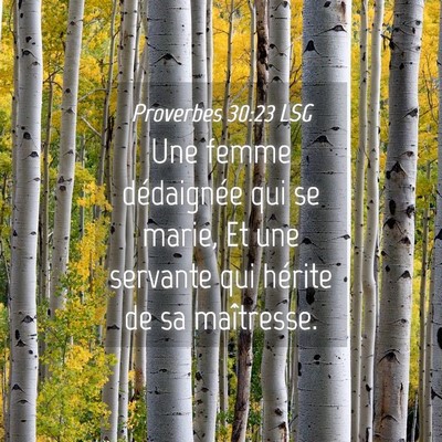 Picture 04 - Proverbes 30:23 LSG - Une femme dédaignée qui se marie, Et une - Bible Verse Picture