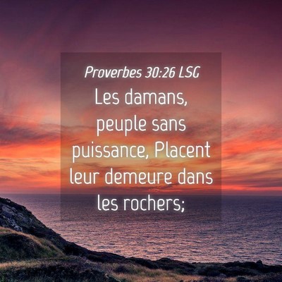 Picture 04 - Proverbes 30:26 LSG - Les damans, peuple sans puissance, Placent leur - Bible Verse Picture