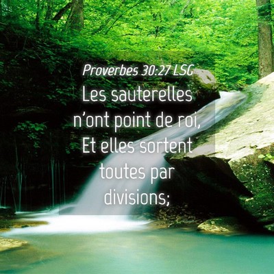Picture 04 - Proverbes 30:27 LSG - Les sauterelles n'ont point de roi, Et elles - Bible Verse Picture