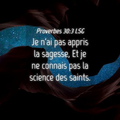 Picture 04 - Proverbes 30:3 LSG - Je n'ai pas appris la sagesse, Et je ne connais - Bible Verse Picture